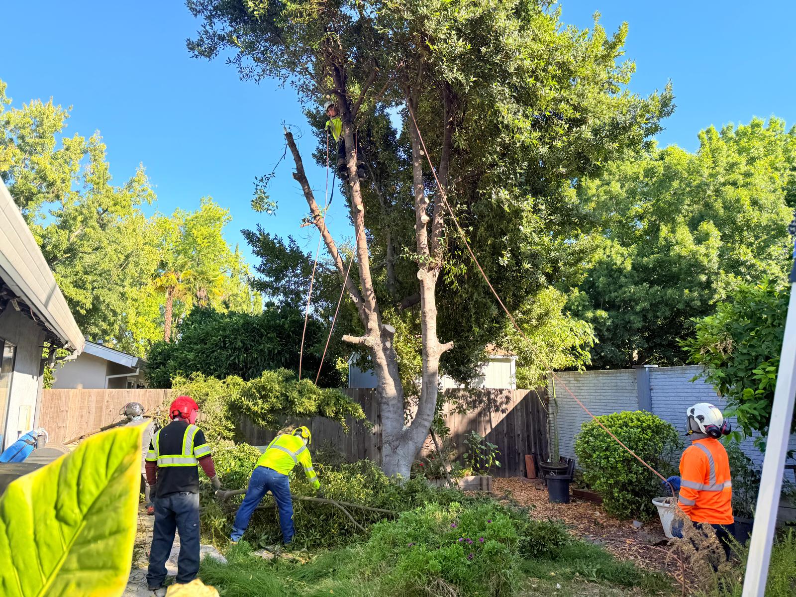 3c049f29-4150-4f02-bba0-9e3da515deaa