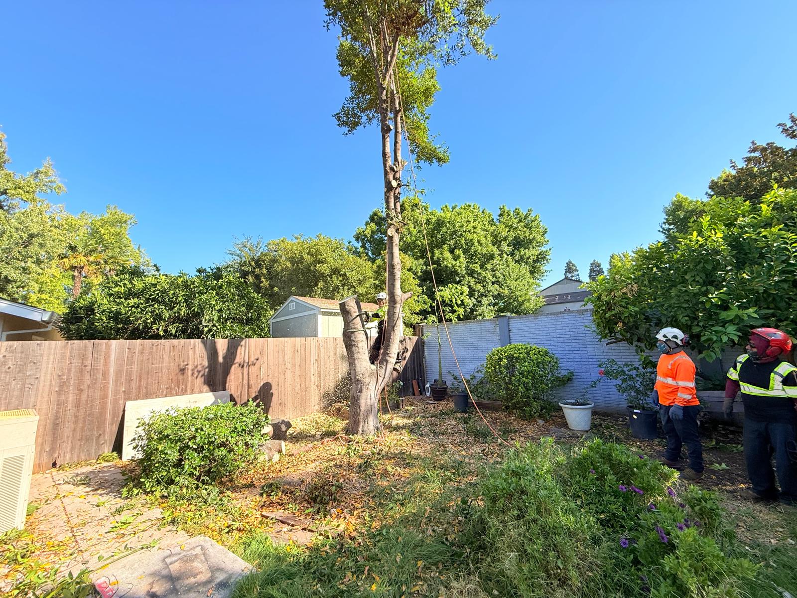 7d90b7e1-98cc-4b19-9cab-98201639449f