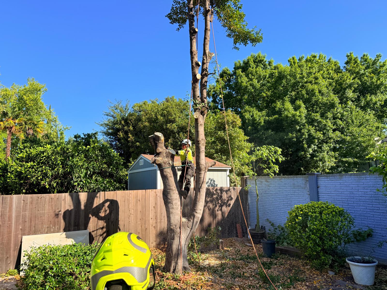 e298b3ae-c211-44e8-ad7a-f27dc2b21c19